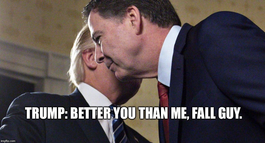 Trump Comey | TRUMP: BETTER YOU THAN ME, FALL GUY. | image tagged in trump comey | made w/ Imgflip meme maker