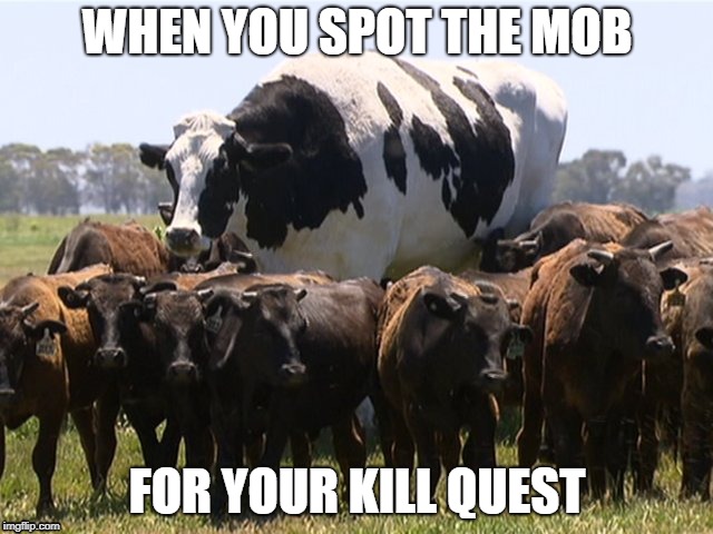 I wonder which one I need to kill | WHEN YOU SPOT THE MOB; FOR YOUR KILL QUEST | image tagged in rpg fan,video games | made w/ Imgflip meme maker