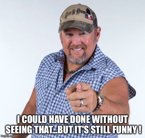 Larry the Cable Guy | I COULD HAVE DONE WITHOUT SEEING THAT...BUT IT'S STILL FUNNY ! | image tagged in larry the cable guy | made w/ Imgflip meme maker