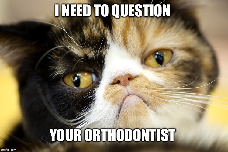 Grumpy Catico | I NEED TO QUESTION YOUR ORTHODONTIST | image tagged in grumpy catico | made w/ Imgflip meme maker