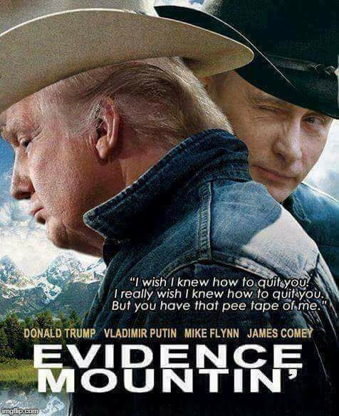 Manafort, Stone, Corsi, Assange, Cohen, Papadapoulos ... | . | image tagged in evidence,trump,putin | made w/ Imgflip meme maker