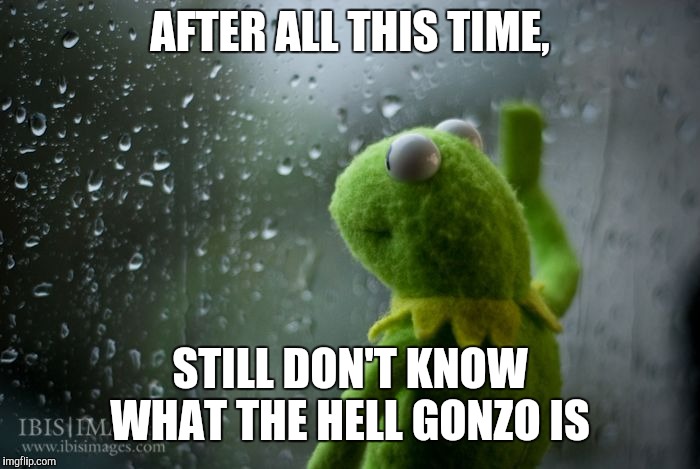 kermit window | AFTER ALL THIS TIME, STILL DON'T KNOW WHAT THE HELL GONZO IS | image tagged in kermit window | made w/ Imgflip meme maker