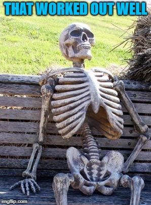 Waiting Skeleton Meme | THAT WORKED OUT WELL | image tagged in memes,waiting skeleton | made w/ Imgflip meme maker