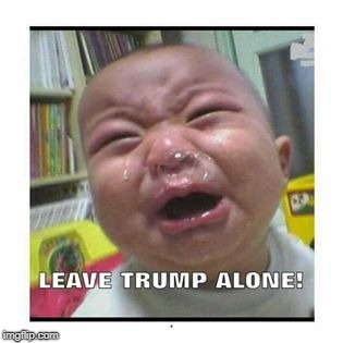 No. | . | image tagged in trump,baby,toddler,infant,child | made w/ Imgflip meme maker