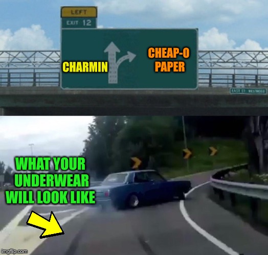 Left Exit 12 Off Ramp Meme | CHARMIN CHEAP-O PAPER WHAT YOUR UNDERWEAR WILL LOOK LIKE | image tagged in memes,left exit 12 off ramp | made w/ Imgflip meme maker