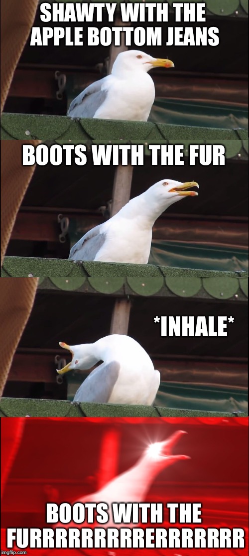 Inhaling Seagull | SHAWTY WITH THE APPLE BOTTOM JEANS; BOOTS WITH THE FUR; *INHALE*; BOOTS WITH THE FURRRRRRRRRERRRRRRR | image tagged in memes,inhaling seagull | made w/ Imgflip meme maker