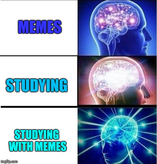 MEMES STUDYING STUDYING WITH MEMES | image tagged in expanding brain 3 panels | made w/ Imgflip meme maker