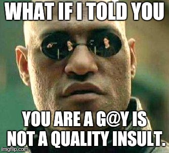 What if i told you | WHAT IF I TOLD YOU; YOU ARE A G@Y IS NOT A QUALITY INSULT. | image tagged in what if i told you | made w/ Imgflip meme maker