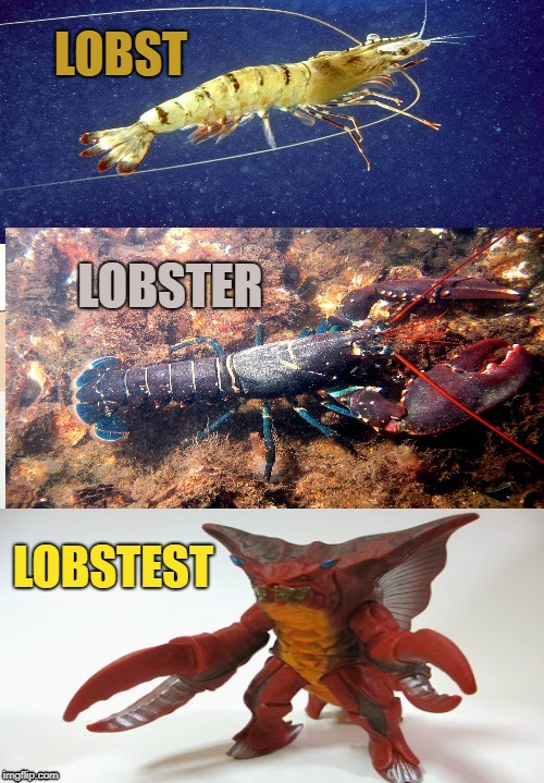 Shellfish ranking | LOBST; LOBSTER; LOBSTEST | image tagged in crustaceans,ultraman | made w/ Imgflip meme maker