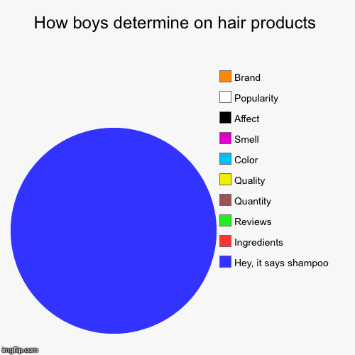 How boys determine on hair products | Hey, it says shampoo, Ingredients , Reviews, Quantity , Quality , Color, Smell, Affect, Popularity , B | image tagged in funny,pie charts | made w/ Imgflip chart maker