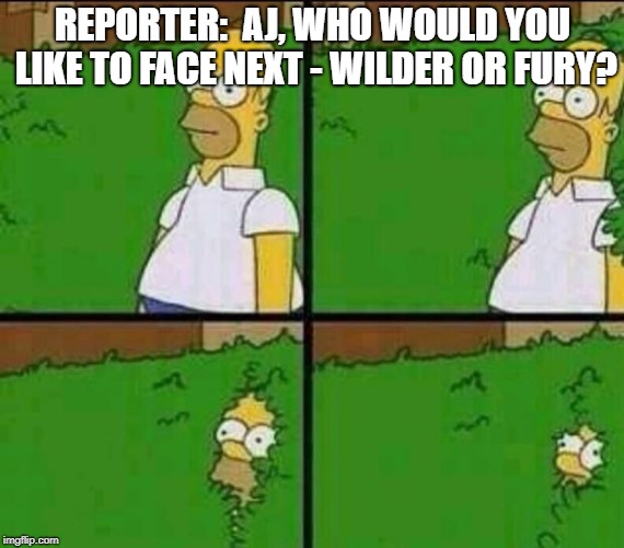 Homer Simpson in Bush - Large | REPORTER:  AJ, WHO WOULD YOU LIKE TO FACE NEXT - WILDER OR FURY? | image tagged in homer simpson in bush - large | made w/ Imgflip meme maker