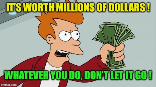 Shut Up And Take My Money Fry Meme | IT’S WORTH MILLIONS OF DOLLARS ! WHATEVER YOU DO, DON’T LET IT GO ! | image tagged in memes,shut up and take my money fry | made w/ Imgflip meme maker