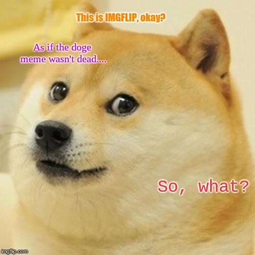 Doge Meme | This is IMGFLIP, okay? As if the doge meme wasn't dead.... So, what? | image tagged in memes,doge | made w/ Imgflip meme maker