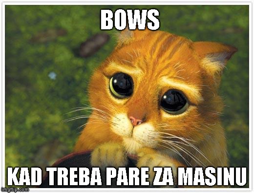 Shrek Cat Meme | BOWS; KAD TREBA PARE ZA MASINU | image tagged in memes,shrek cat | made w/ Imgflip meme maker