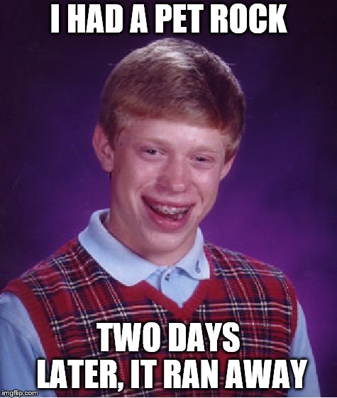 I miss my rock | I HAD A PET ROCK; TWO DAYS LATER, IT RAN AWAY | image tagged in memes,bad luck brian | made w/ Imgflip meme maker