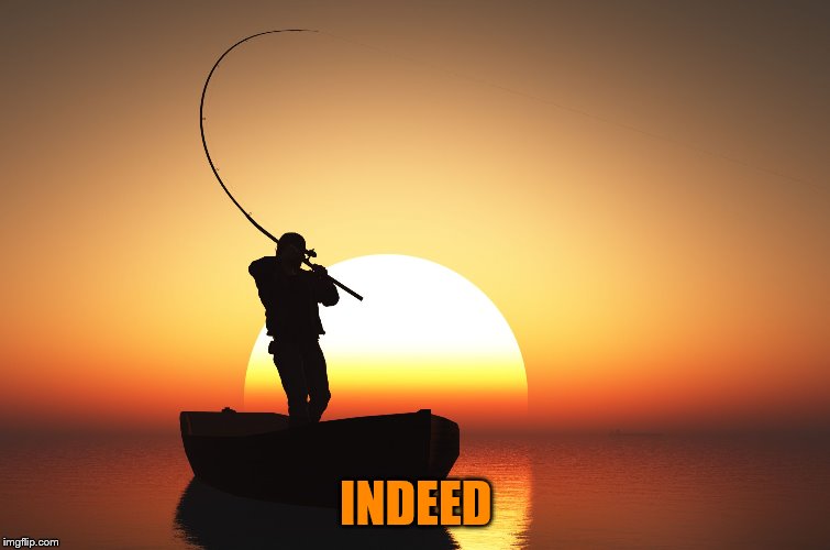 Fisherman at sunset | INDEED | image tagged in fisherman at sunset | made w/ Imgflip meme maker