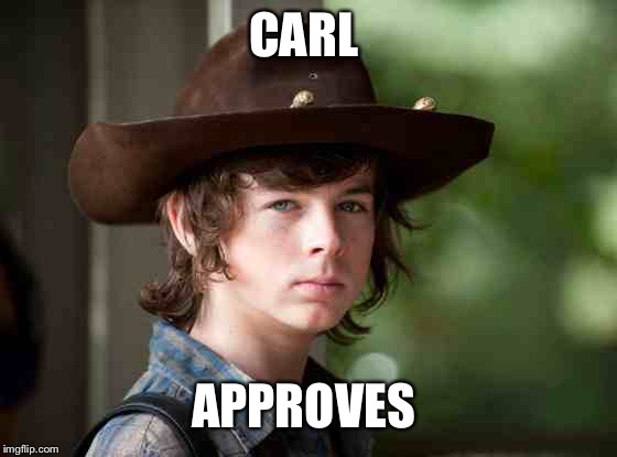 Carl walking dead | CARL APPROVES | image tagged in carl walking dead | made w/ Imgflip meme maker