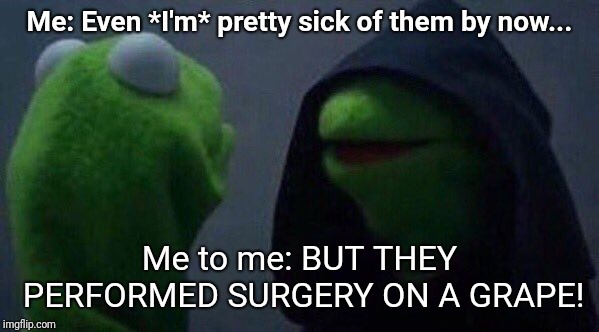 inner kermit | Me: Even *I'm* pretty sick of them by now... Me to me: BUT THEY PERFORMED SURGERY ON A GRAPE! | image tagged in inner kermit,memes,grape | made w/ Imgflip meme maker