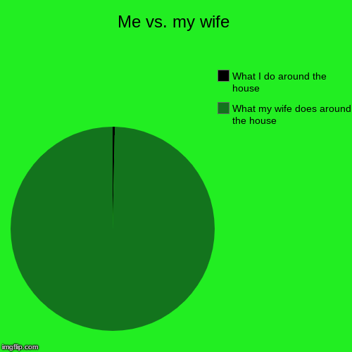 Me vs. my wife | What my wife does around the house, What I do around the house | image tagged in funny,pie charts | made w/ Imgflip chart maker