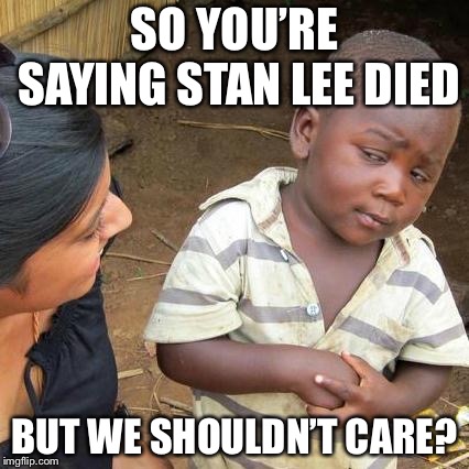 Third World Skeptical Kid | SO YOU’RE SAYING STAN LEE DIED; BUT WE SHOULDN’T CARE? | image tagged in memes,third world skeptical kid | made w/ Imgflip meme maker
