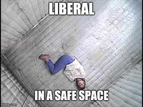 I title my masterpiece.... |  LIBERAL; IN A SAFE SPACE | image tagged in politics,political meme,political,liberals,liberal logic,college liberal | made w/ Imgflip meme maker