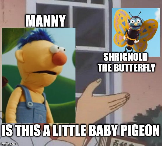 Baby Pigeon | MANNY; SHRIGNOLD THE BUTTERFLY; IS THIS A LITTLE BABY PIGEON | image tagged in memes,is this a pigeon,dhmis,youtube | made w/ Imgflip meme maker