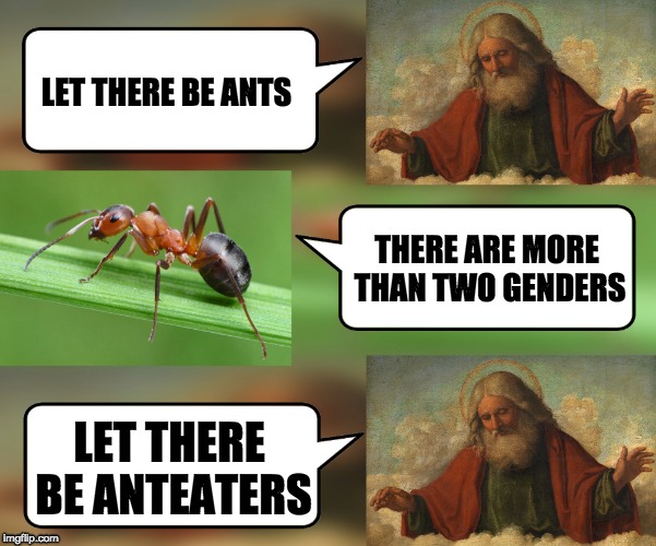 God ants and genders | LET THERE
BE ANTS; THERE ARE MORE THAN TWO GENDERS; LET THERE BE ANTEATERS | image tagged in god,ants,gender | made w/ Imgflip meme maker