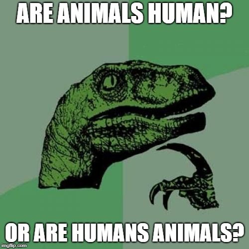 The most confusing question of all
 | ARE ANIMALS HUMAN? OR ARE HUMANS ANIMALS? | image tagged in memes,philosoraptor | made w/ Imgflip meme maker