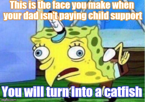 Mocking Spongebob | This is the face you make when your dad isn't paying child support; You will turn into a catfish | image tagged in memes,mocking spongebob | made w/ Imgflip meme maker