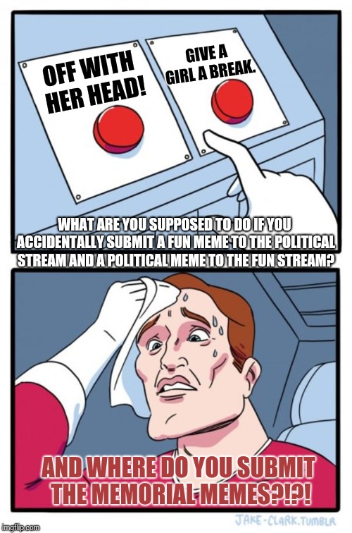 I Can't Take Much More Confusion | GIVE A GIRL A BREAK. OFF WITH HER HEAD! WHAT ARE YOU SUPPOSED TO DO IF YOU ACCIDENTALLY SUBMIT A FUN MEME TO THE POLITICAL STREAM AND A POLITICAL MEME TO THE FUN STREAM? AND WHERE DO YOU SUBMIT THE MEMORIAL MEMES?!?! | image tagged in memes,two buttons,cat memes,political meme,sport memes,funny memes | made w/ Imgflip meme maker
