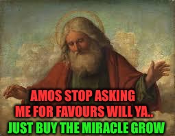 god | JUST BUY THE MIRACLE GROW AMOS STOP ASKING ME FOR FAVOURS WILL YA.. | image tagged in god | made w/ Imgflip meme maker