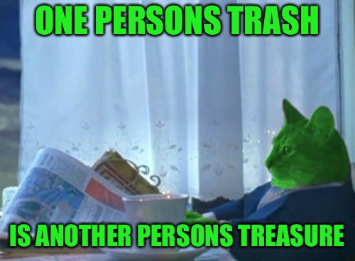 I Should Buy a Boat RayCat | ONE PERSONS TRASH IS ANOTHER PERSONS TREASURE | image tagged in i should buy a boat raycat | made w/ Imgflip meme maker