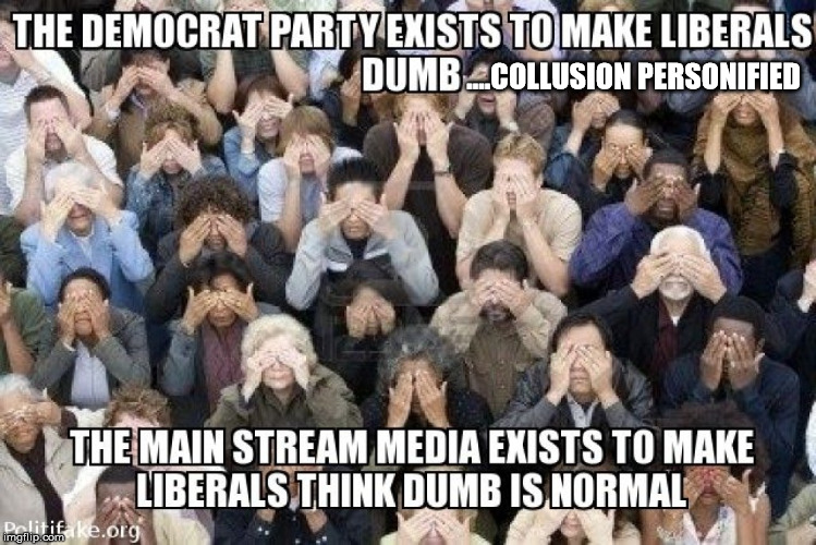 IDENTICAL TWINS..Democrats and Marxist Media | ....COLLUSION PERSONIFIED | image tagged in marxist media,fake news,collusion | made w/ Imgflip meme maker