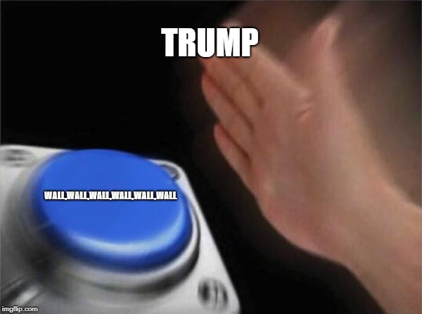 Blank Nut Button Meme | TRUMP; WALL,WALL,WALL,WALL,WALL,WALL | image tagged in memes,blank nut button | made w/ Imgflip meme maker
