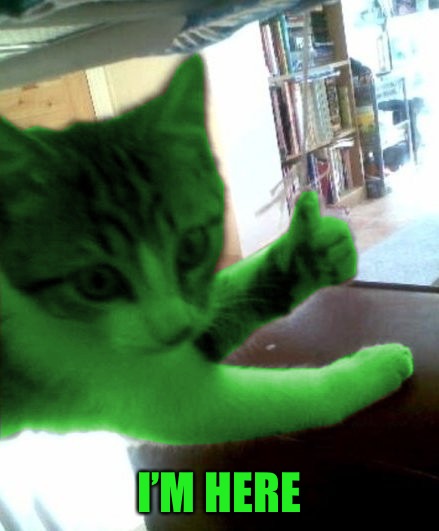 thumbs up RayCat | I’M HERE | image tagged in thumbs up raycat | made w/ Imgflip meme maker