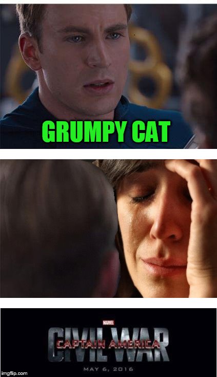 Marvel Civil War 1 Meme | GRUMPY CAT | image tagged in memes,marvel civil war 1 | made w/ Imgflip meme maker
