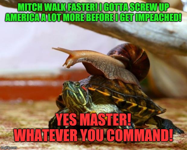 Bonespurs can't do it alone!  | MITCH WALK FASTER! I GOTTA SCREW UP AMERICA A LOT MORE BEFORE I GET IMPEACHED! YES MASTER! WHATEVER YOU COMMAND! | image tagged in snail on a turtle,mitch mcconnell,trump,trump russia collusion,republican | made w/ Imgflip meme maker