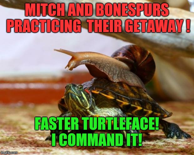Faster!  Worthless turtleface!  | MITCH AND BONESPURS PRACTICING  THEIR GETAWAY ! FASTER TURTLEFACE! I COMMAND IT! | image tagged in snail on a turtle,faster,donald trump,mitch mcconnell,trump russia collusion | made w/ Imgflip meme maker