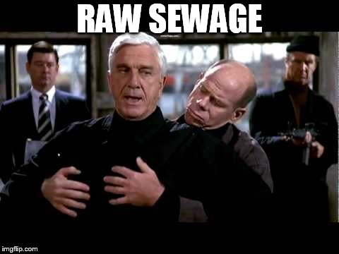 Raw sewage | RAW SEWAGE | image tagged in raw sewage | made w/ Imgflip meme maker