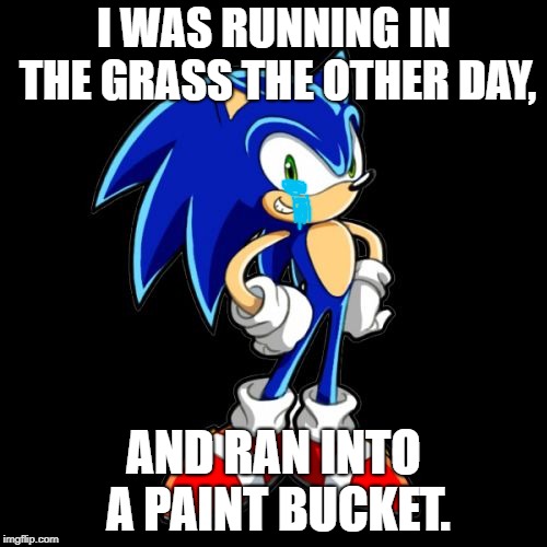 #Youwenttoofast | I WAS RUNNING IN THE GRASS THE OTHER DAY, AND RAN INTO A PAINT BUCKET. | image tagged in memes,youre too slow sonic | made w/ Imgflip meme maker