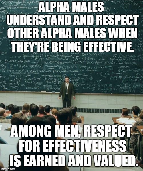 My Lecture On | ALPHA MALES UNDERSTAND AND RESPECT OTHER ALPHA MALES WHEN THEY'RE BEING EFFECTIVE. AMONG MEN, RESPECT FOR EFFECTIVENESS  IS EARNED AND VALUE | image tagged in my lecture on | made w/ Imgflip meme maker