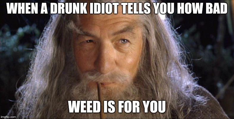WHEN A DRUNK IDIOT TELLS YOU HOW BAD; WEED IS FOR YOU | image tagged in gandalfs wisdom | made w/ Imgflip meme maker