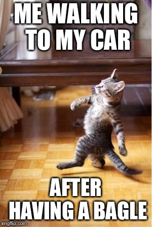 Walking Cat | ME WALKING TO MY CAR; AFTER HAVING A BAGLE | image tagged in walking cat | made w/ Imgflip meme maker