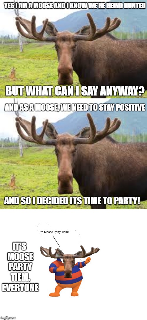 Moose wants to party | YES I AM A MOOSE AND I KNOW WE'RE BEING HUNTED; BUT WHAT CAN I SAY ANYWAY? AND AS A MOOSE, WE NEED TO STAY POSITIVE; AND SO I DECIDED ITS TIME TO PARTY! IT'S MOOSE PARTY TIEM, EVERYONE | image tagged in party moose | made w/ Imgflip meme maker