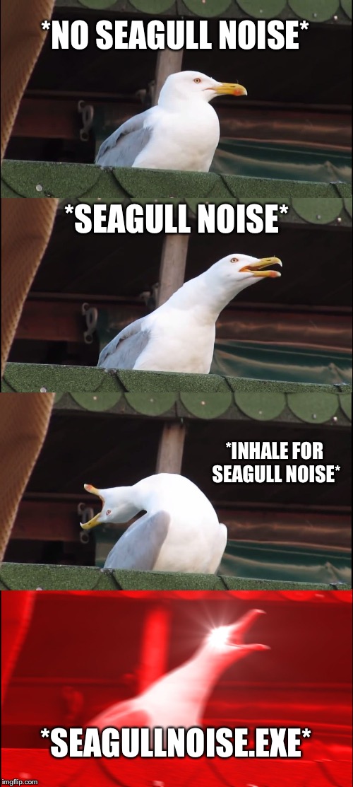 Inhaling Seagull | *NO SEAGULL NOISE*; *SEAGULL NOISE*; *INHALE FOR SEAGULL NOISE*; *SEAGULLNOISE.EXE* | image tagged in memes,inhaling seagull | made w/ Imgflip meme maker