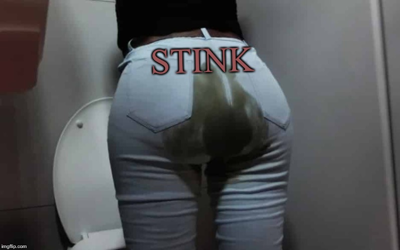 pooped pants | STINK | image tagged in pooped pants | made w/ Imgflip meme maker
