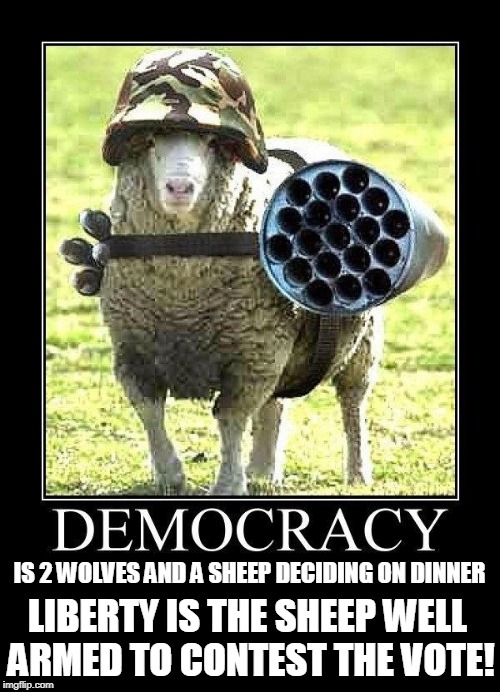 In other words... too ba-a-a-ad! | IS 2 WOLVES AND A SHEEP DECIDING ON DINNER; LIBERTY IS THE SHEEP WELL ARMED TO CONTEST THE VOTE! | image tagged in democracy,politics,american politics | made w/ Imgflip meme maker