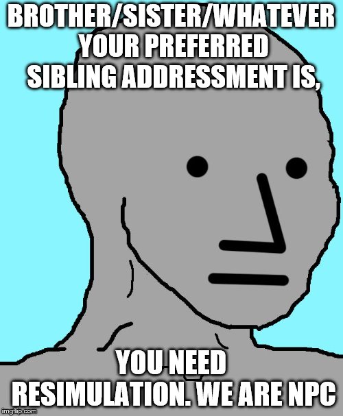NPC Meme | BROTHER/SISTER/WHATEVER YOUR PREFERRED SIBLING ADDRESSMENT IS, YOU NEED RESIMULATION. WE ARE NPC | image tagged in memes,npc | made w/ Imgflip meme maker