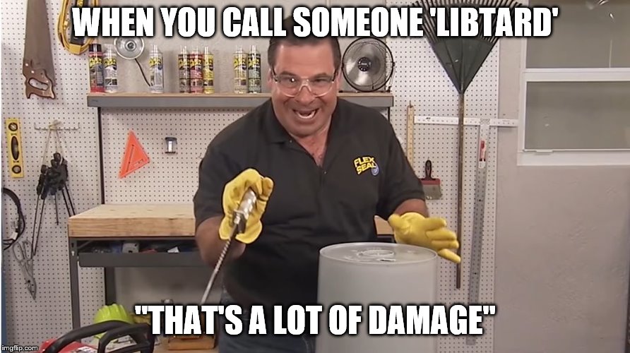 Phil Swift That's A Lotta Damage (Flex Tape/Seal) | WHEN YOU CALL SOMEONE 'LIBTARD' "THAT'S A LOT OF DAMAGE" | image tagged in phil swift that's a lotta damage flex tape/seal | made w/ Imgflip meme maker