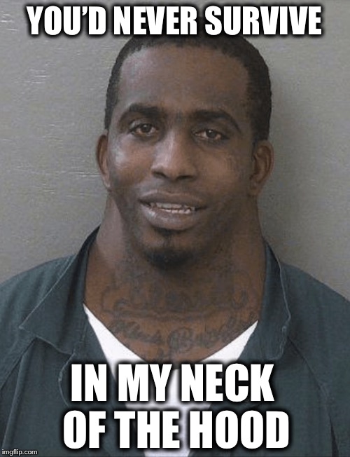 Neck guy | YOU’D NEVER SURVIVE; IN MY NECK OF THE HOOD | image tagged in neck guy | made w/ Imgflip meme maker
